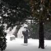 030-phils-cross2